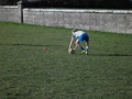 rugby-training-with-eimear-1-small